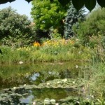 Schwimmteich