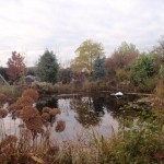 Garten im Herbst