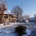 Garten im Winter