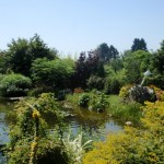 Schwimmteich3