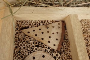 Wildbiene baut gerade ein Nest im Hotel Rustica