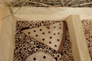 Wildbiene baut gerade ein Nest im Hotel Rustica